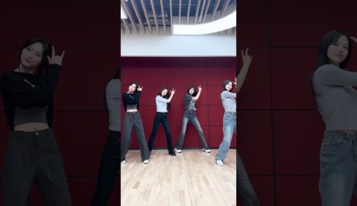 누가 먼저 #트와이스 #미나 #쯔위 님 좋아하면 어때💖 #Fancy_Challenge